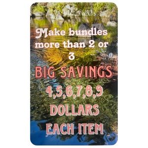 big savings star 4 dollars